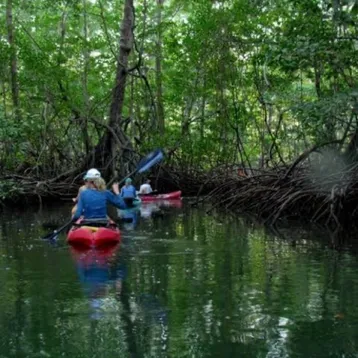 Kayaking